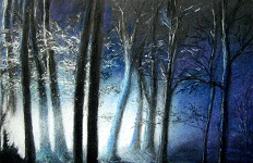 nächtlicher Wald