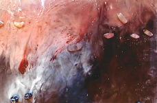 Resin rosa schwarz mit Rosenquarz