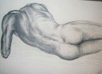 Männerakt halber Körper liegend